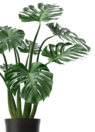 Arkilex photorealistic 3D architectural visualization rendering